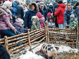 Das Schweinegehege in der Bauernhof-Ecke war die ganze Zeit über von Mädchen und Jungen umlagert. (SWA-Foto: Boris Edelmann)