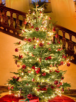 Geschmückter Weihnachtsbaum im Foyer von Schloss Berleburg. (Foto: Wittgenstein-Berleburg'sche Rentkammer)