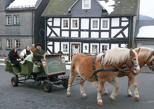 Am Samstag und Sonntag findet erneut der Shuttle-Service von der Unterstadt durch den Schlosspark zum Schloss mit der Kutsche statt. (Foto: Rikarde Riedesel)