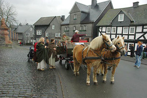 Am Samstag und Sonntag findet erneut der Shuttle-Service von der Unterstadt durch den Schlosspark zum Schloss mit der Kutsche statt. (Foto: Carsten Mosch)