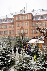 Impressionen von der Bad Berleburger WeihnachtsZeitreise 2018 (Foto: Tina Scheffler)