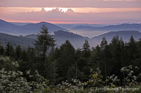 'Wittgensteiner Impressionen' (Foto: Fotofreunde Feudingen)