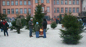 Weihnachtsbaumverkauf auf dem Schlosshof (Foto: C. Völkel)