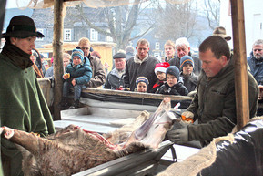 Mitarbeiter der Berleburg'schen Rentkammer zeigten unter den Blicken vieler Besucher, wie ein erlegtes Wildschwein richtig zerlegt wird. Nebenan konnte man das gebratene Fleisch sogleich kosten. (SZ-Foto: Björn Weyand)