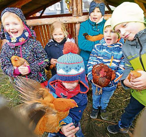 Einige Kinder sind überrascht, wie zutraulich Hühner doch sein können. Eine tolle Erfahrung. (WP-Foto: Hans Peter Kehrle)