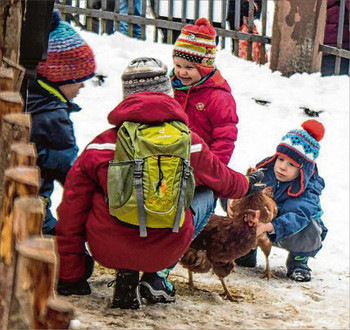 Die jüngeren Marktbesucher konnten im Bauernhof auf Tuchfühlung mit Tieren gehen. Dabei machten sie manch wunderbare Erfahrung. (SWA-Foto: Boris Edelmann)