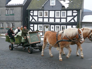 Kutschfahrten vom / zum Schloss Berleburg (Samstag) (Foto: Rikarde Riedesel)